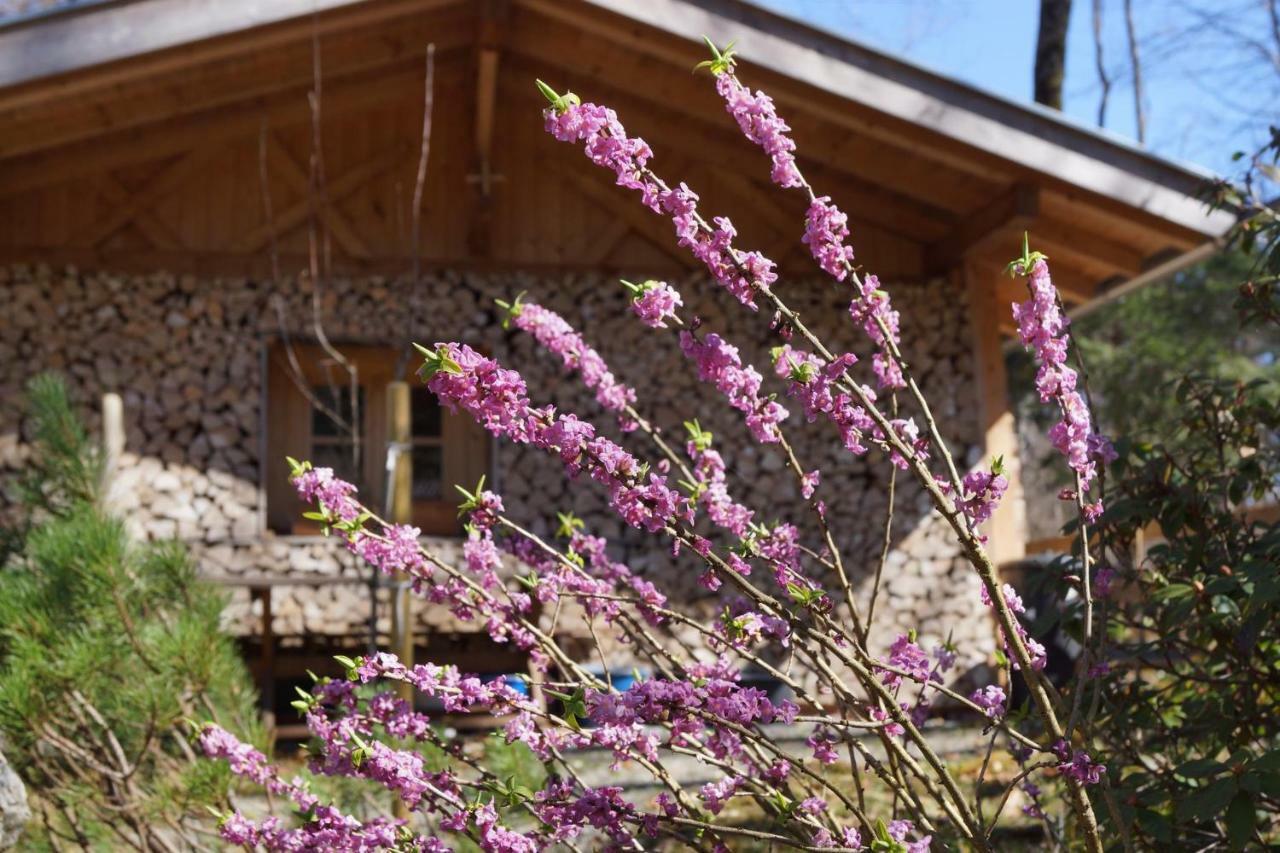 فندق Ferienhaus Waldwinkl غرينو المظهر الخارجي الصورة
